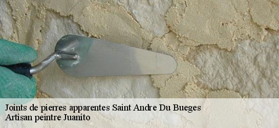 Joints de pierres apparentes 34190