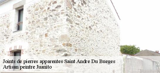 Joints de pierres apparentes 34190