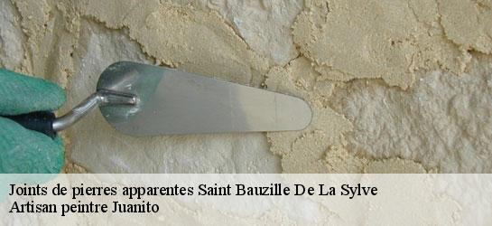 Joints de pierres apparentes 34230