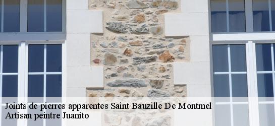 Joints de pierres apparentes 34160