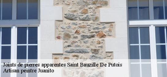 Joints de pierres apparentes  34190