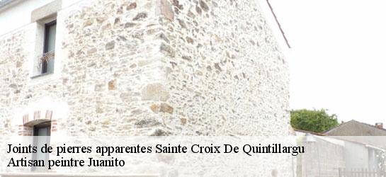 Joints de pierres apparentes  34270