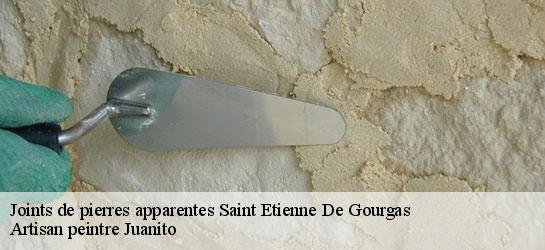 Joints de pierres apparentes 34700