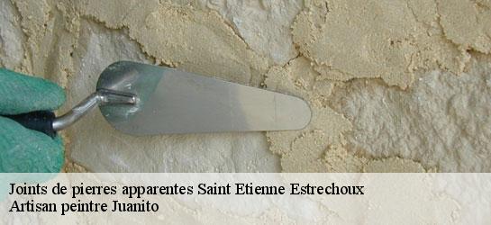 Joints de pierres apparentes  34260