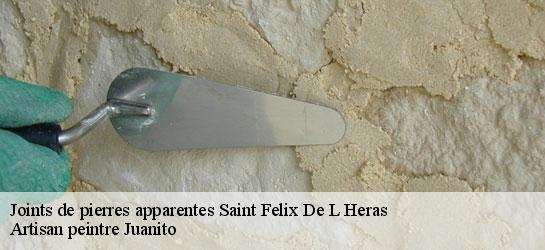 Joints de pierres apparentes  34520