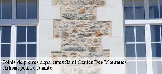 Joints de pierres apparentes  34160