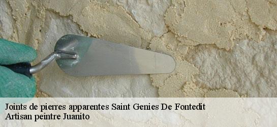 Joints de pierres apparentes  34480