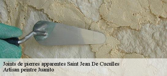 Joints de pierres apparentes  34270