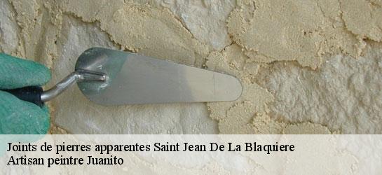 Joints de pierres apparentes  34700