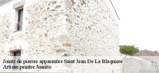 Joints de pierres apparentes  34700