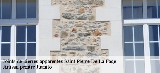 Joints de pierres apparentes 34520
