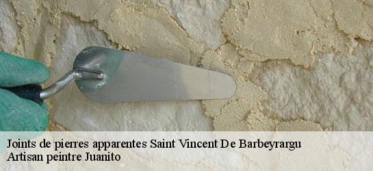 Joints de pierres apparentes  34730