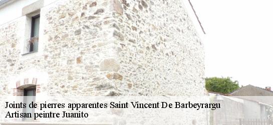 Joints de pierres apparentes  34730