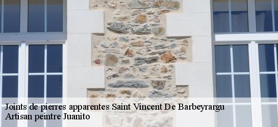 Joints de pierres apparentes  34730