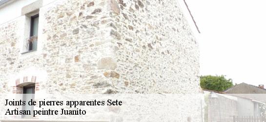 Joints de pierres apparentes 34200