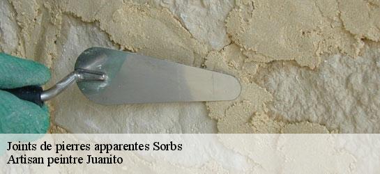 Joints de pierres apparentes 34520