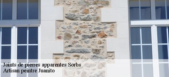 Joints de pierres apparentes 34520