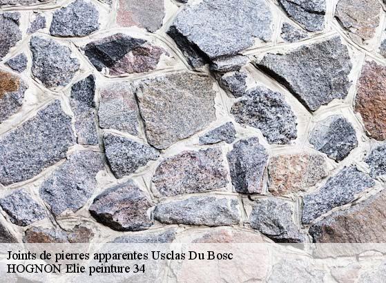 Joints de pierres apparentes  usclas-du-bosc-34700 HOGNON Elie peinture 34