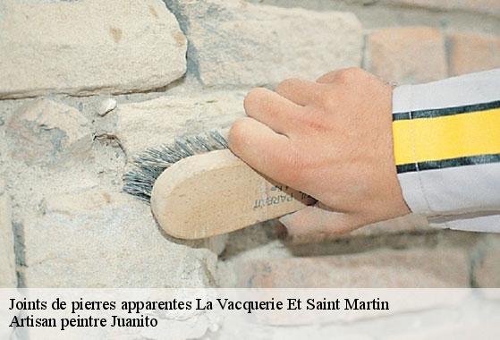 Joints de pierres apparentes la-vacquerie-et-saint-martin-34520 Artisan peintre Juanito