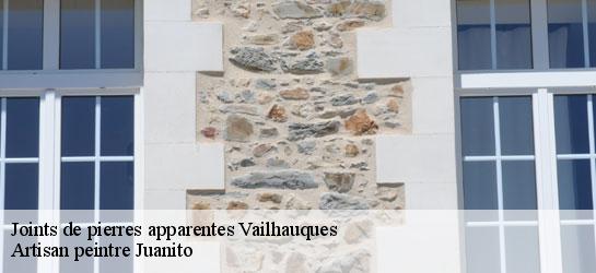 Joints de pierres apparentes  34570