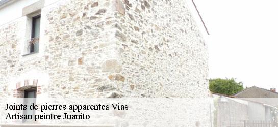 Joints de pierres apparentes  34450