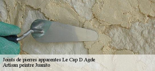 Joints de pierres apparentes  34300